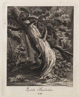 KG 01077
          <br/>
          Entwurf einiger Thiere. Fünfter Theil. (18 bladen)
          <br/>
          <em>Ridinger, Johann Elias (1698-1767)</em>